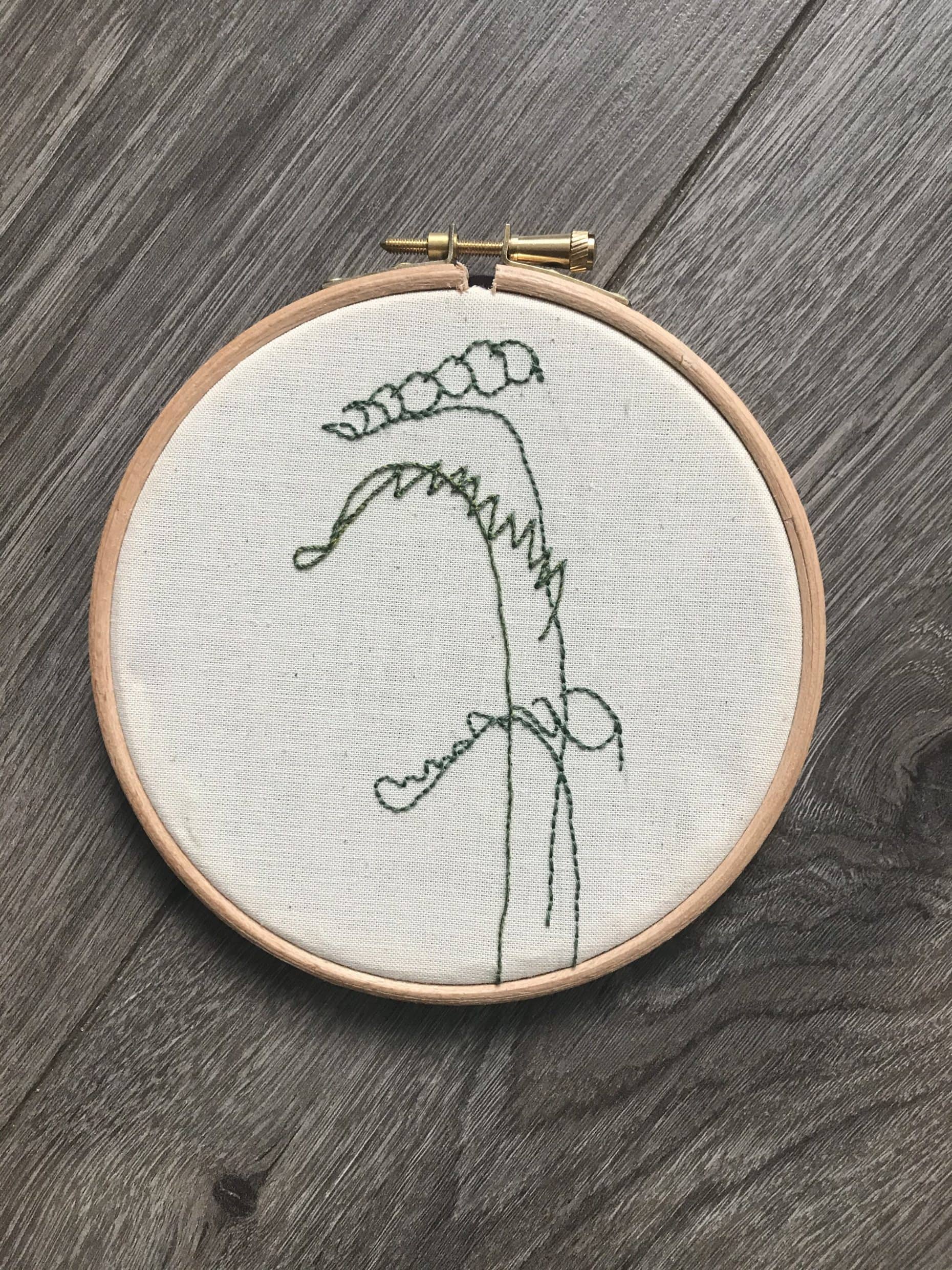 Lady Fern
